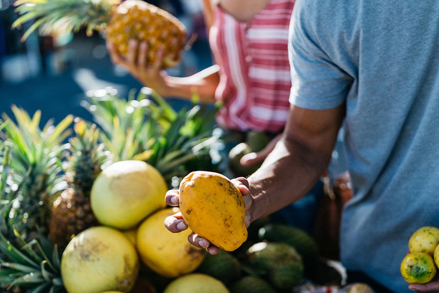 Oahu Grand Circle & Dole Pineapple Plantation