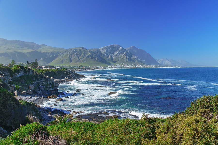 Hermanus