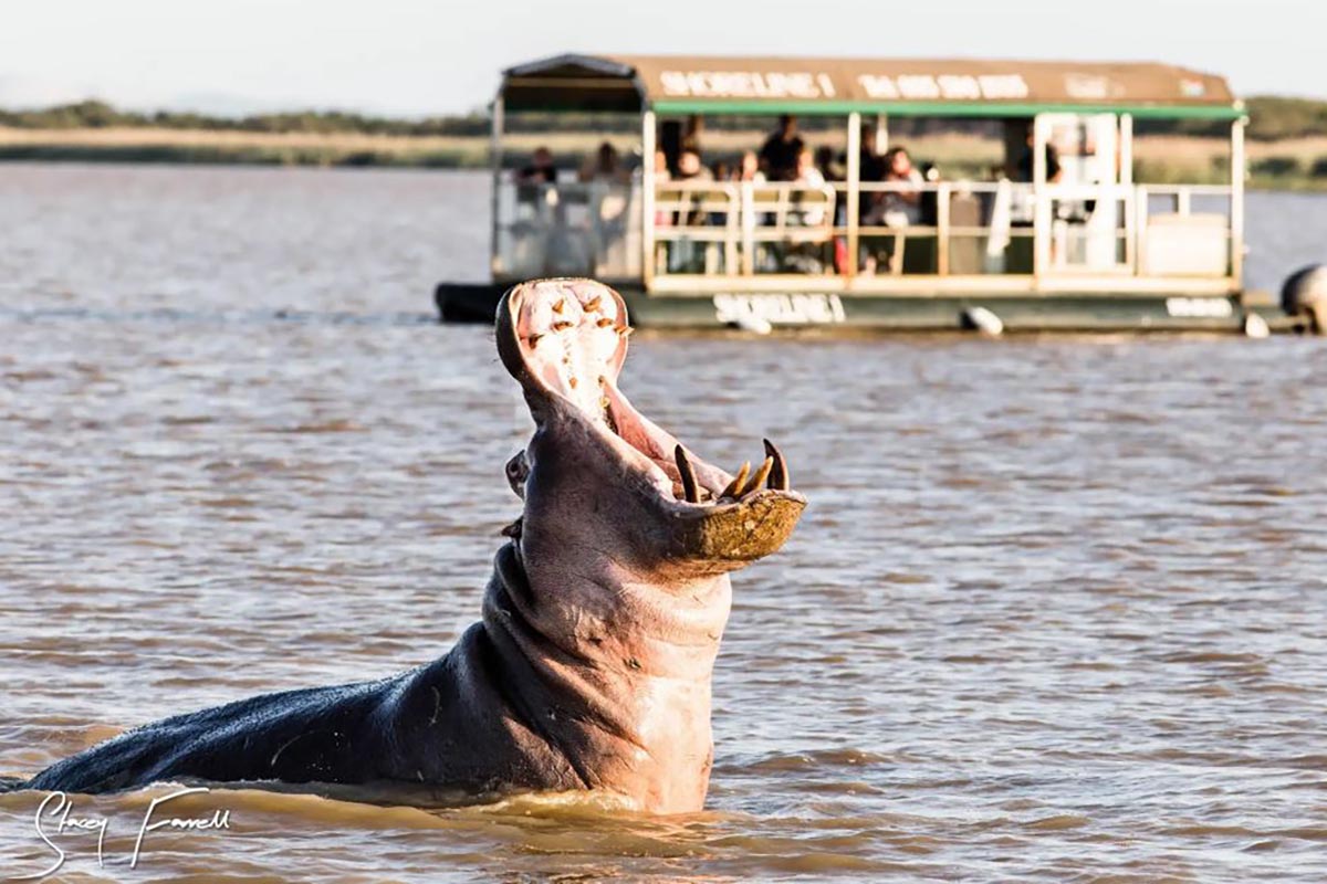St. Lucia Hippo Cruise