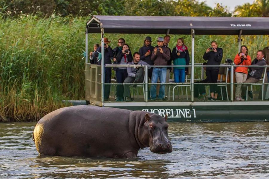 St Lucia Hippo Cruise