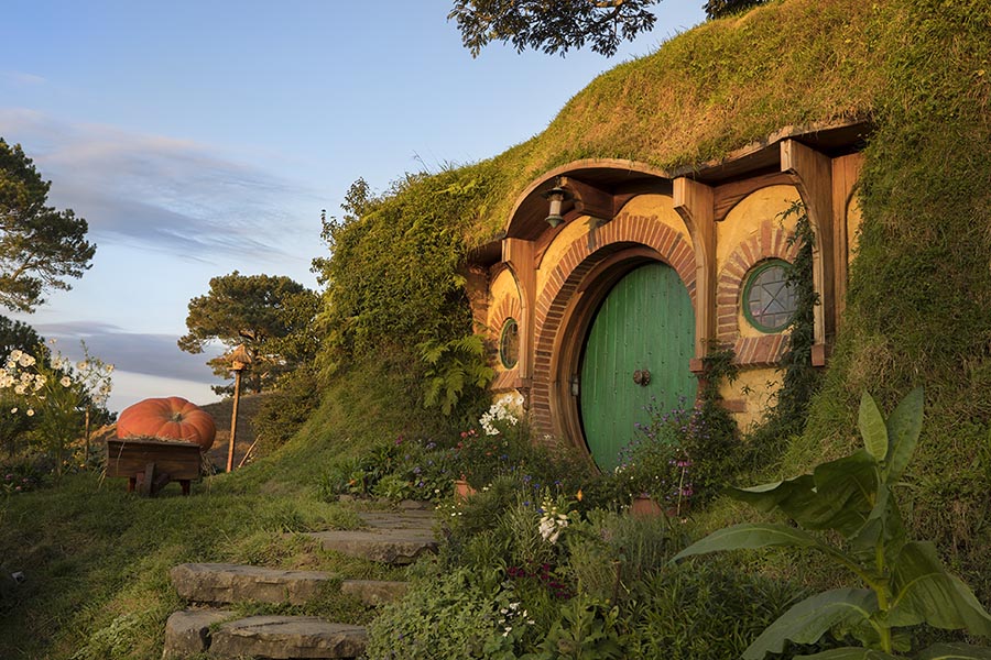 Hobbiton Movie Set Tour