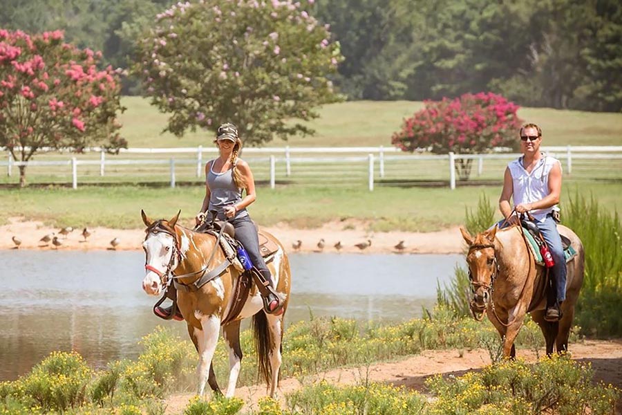 Southern Cross Ranch