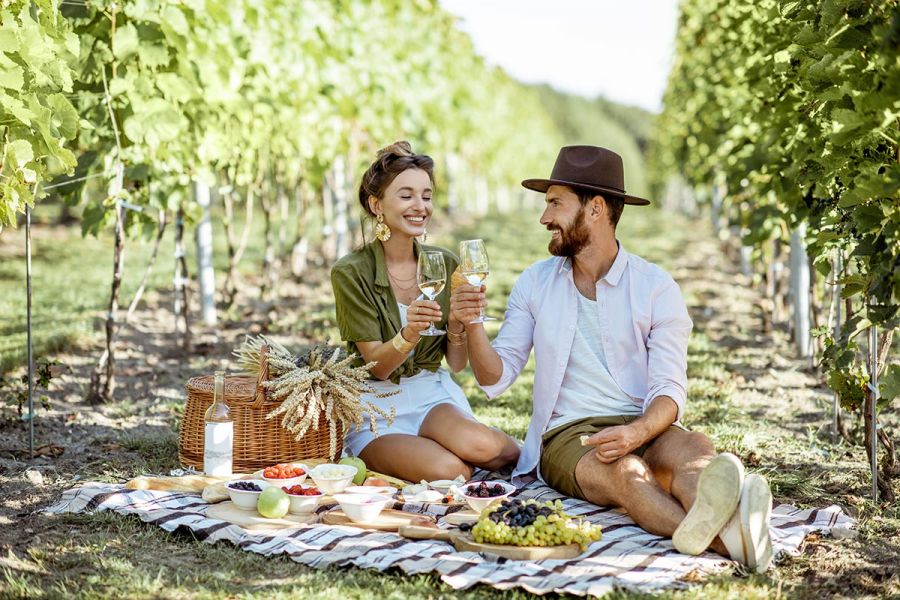 Picnic Among the Vines Experience