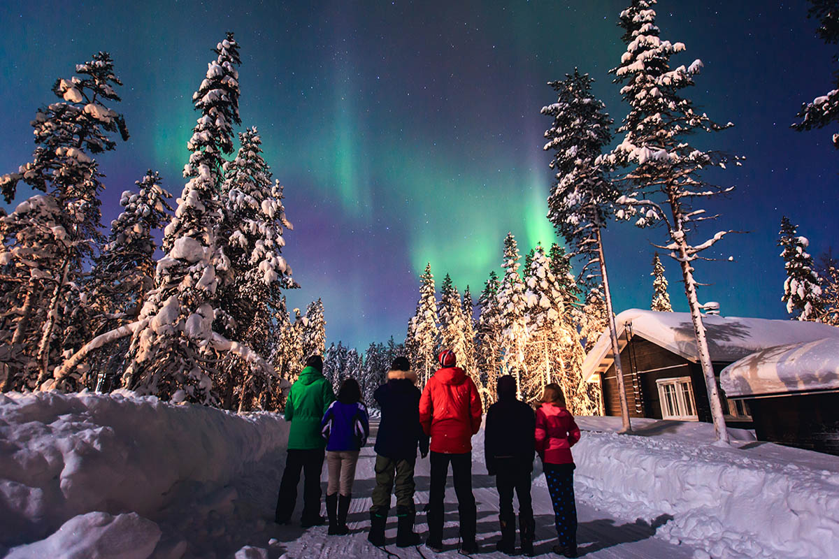 'In Search of the Northern Lights' Tour, Reykjavik