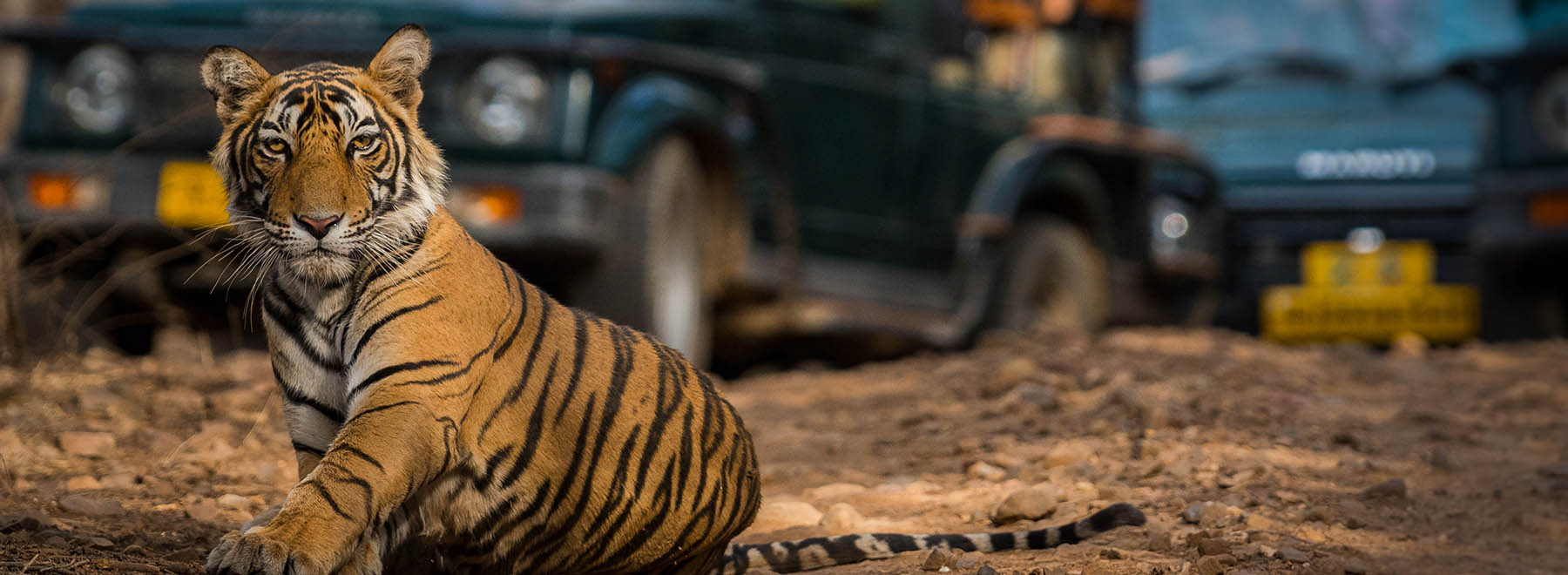 Ranthambore National Park