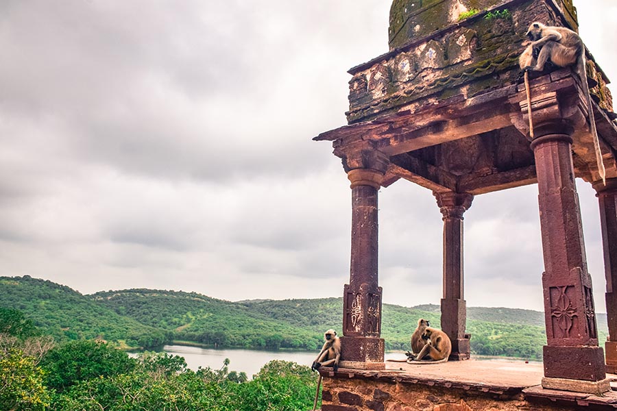 Ranthambore National Park