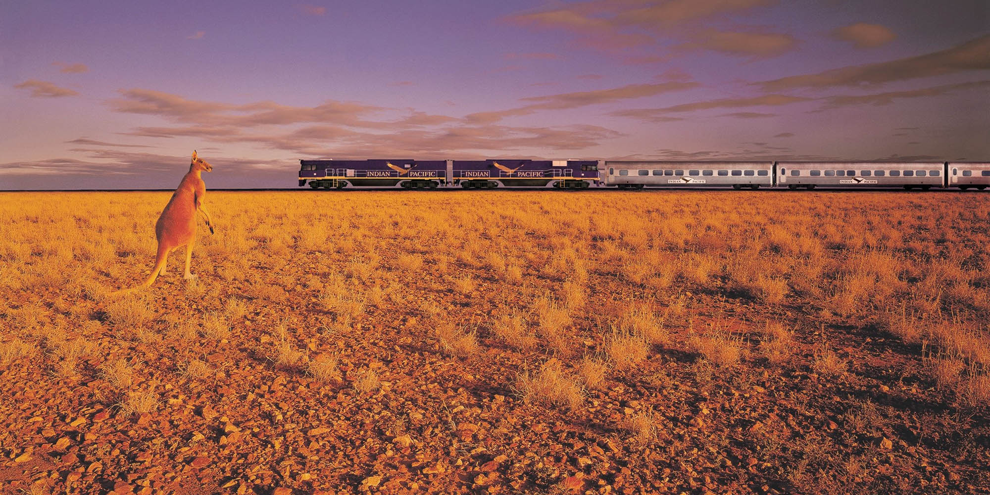 Ride the Rails: Epic Train Journeys That Will Leave You Awestruck