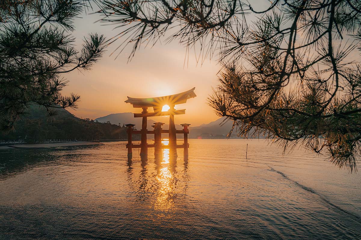 Hiroshima & Miyajima Private Day Tour
