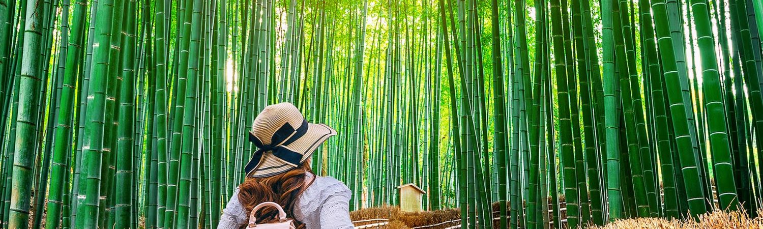 Arashiyama Bamboo Forest, Nara Park, and Fushimi Inari Taisha