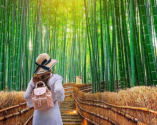 Arashiyama Bamboo Forest, Nara Park, and Fushimi Inari Taisha