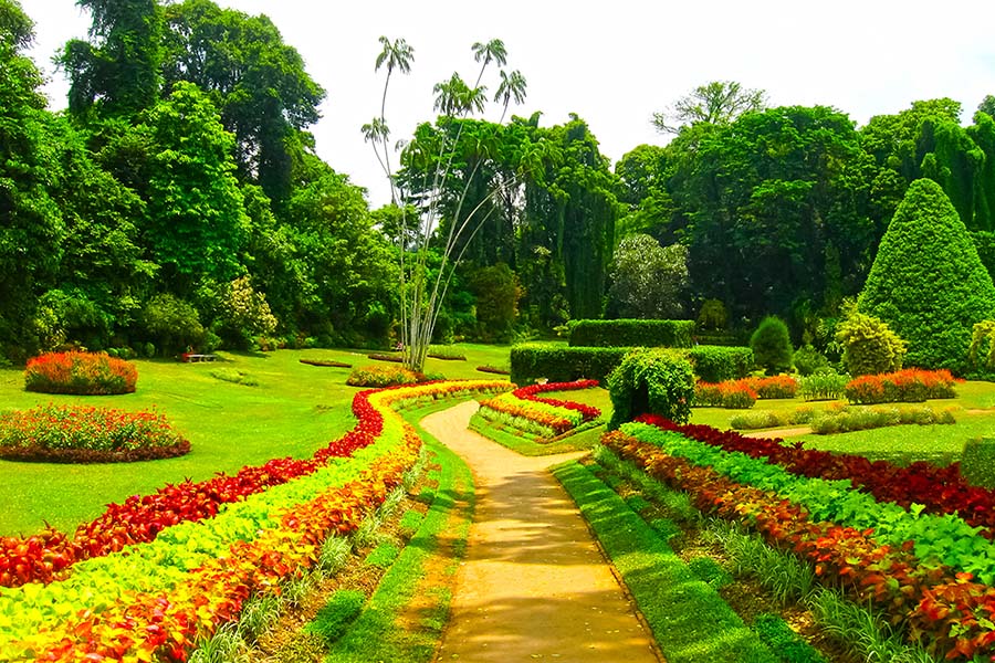 Peradeniya Botanical Gardens