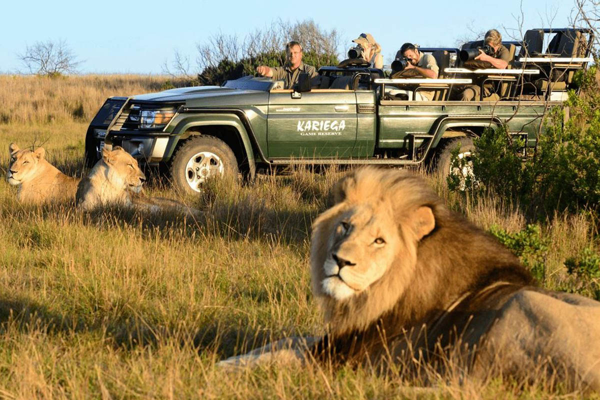 Kariega Game Reserve