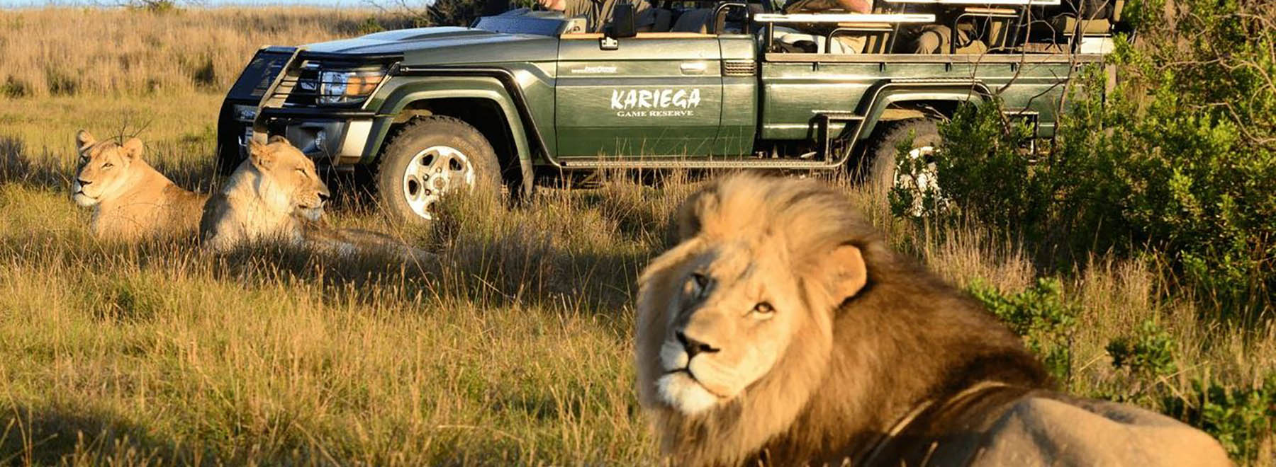 Kariega Game Reserve
