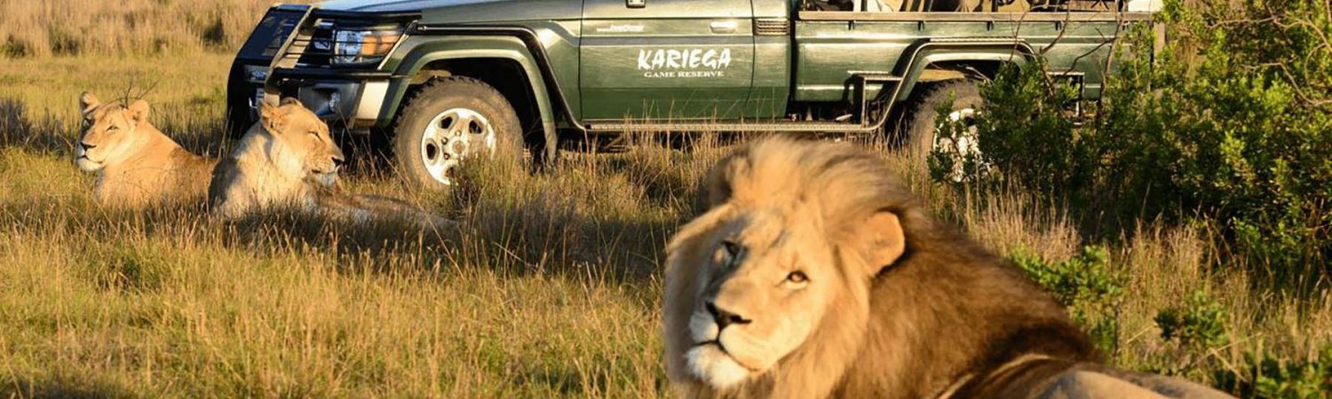 Kariega Game Reserve