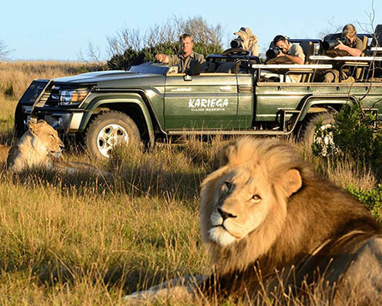Kariega Game Reserve