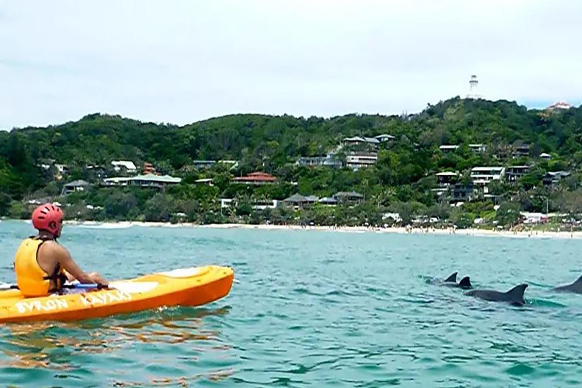 Kayak with Dolphins