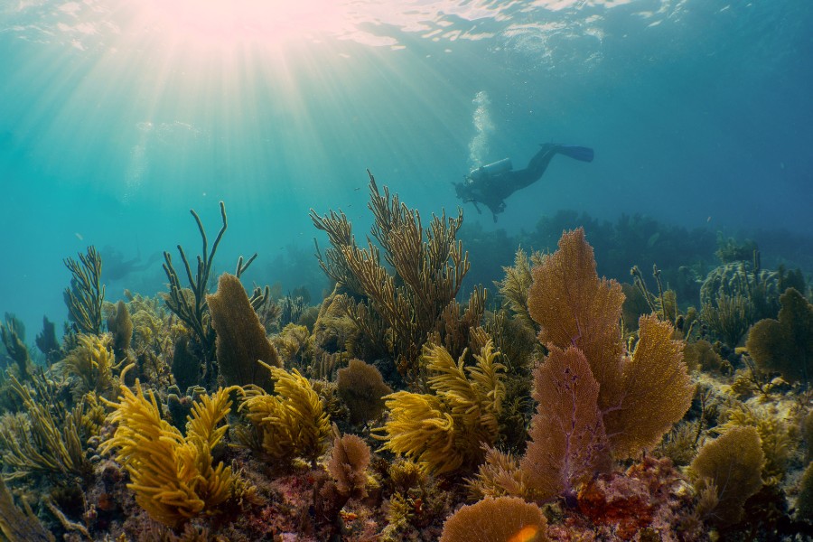 Key Largo