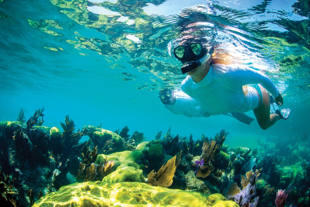 Key Largo Snorkelling - Credit : Cody Spinadel Photography