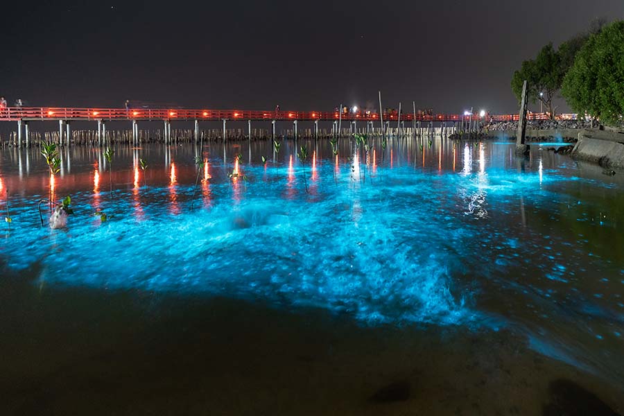 Phang Nga Bay Sea Kayaking Tour
