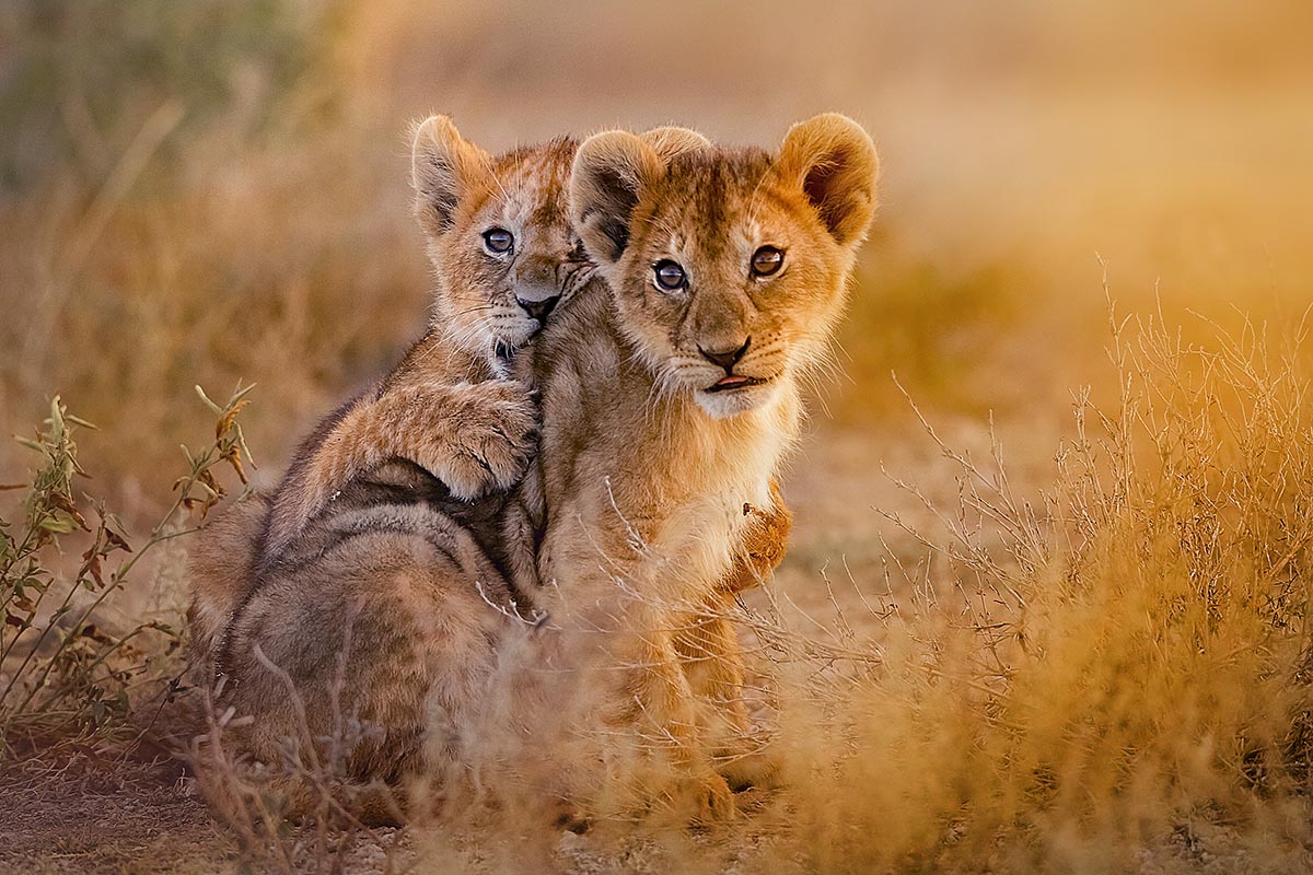 Kruger National Park, South Africa