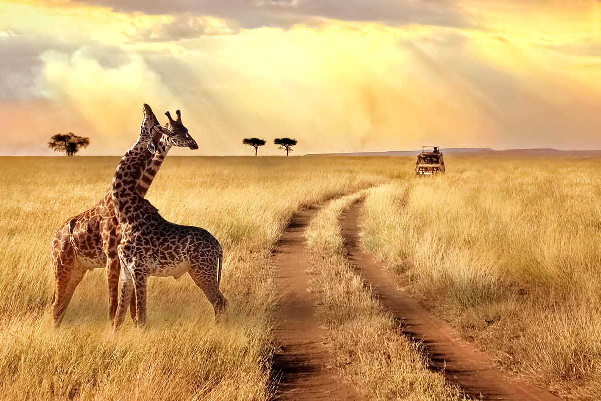 Kruger National Park, South Africa