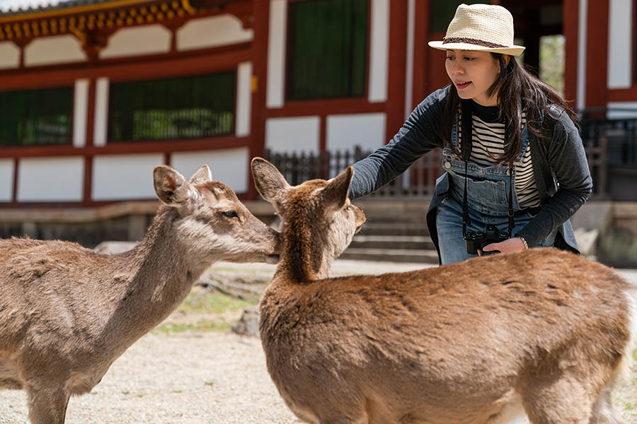 Nara Deer Park