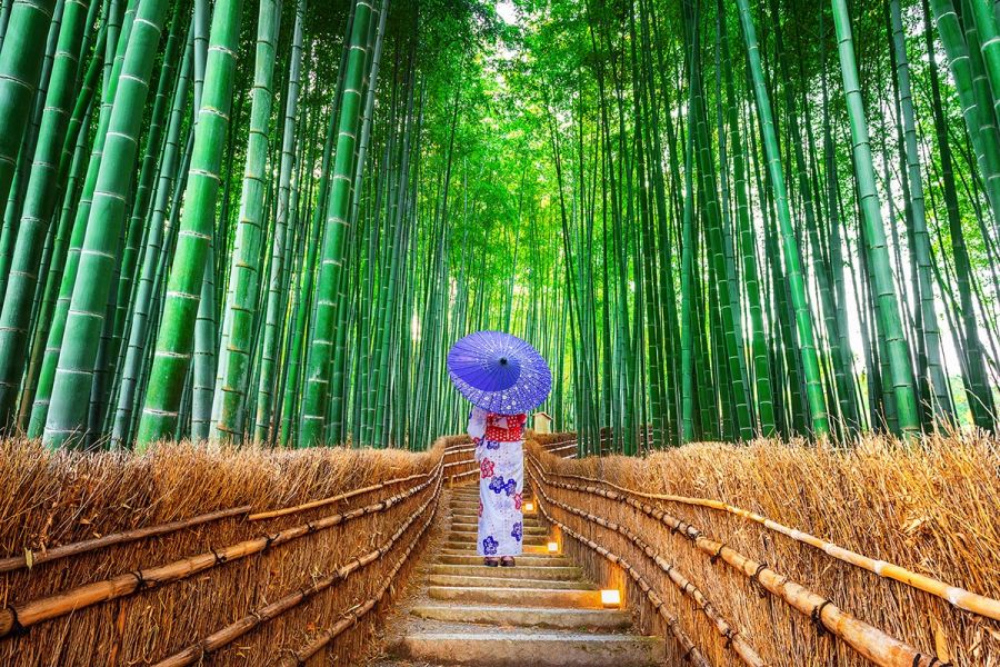 Kyoto