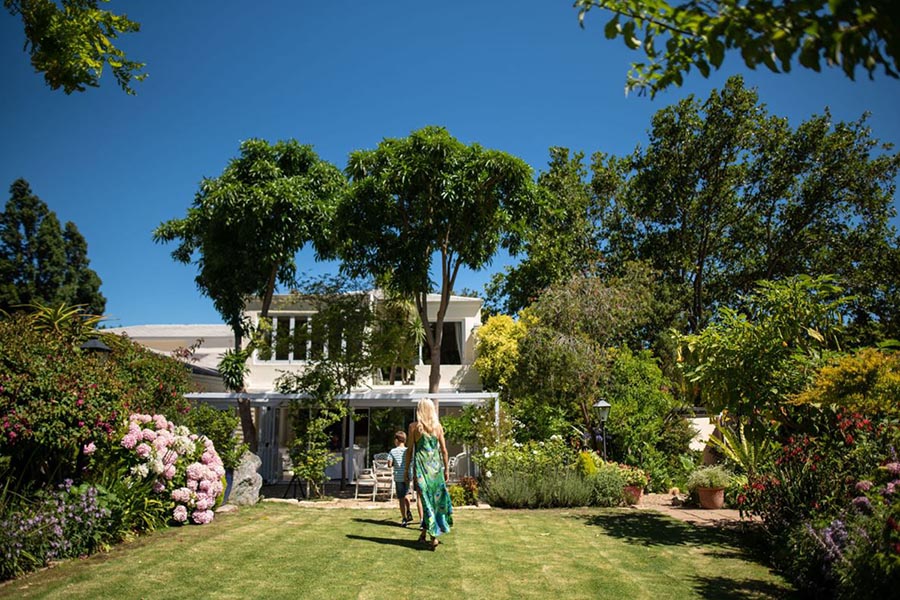 Last Word Constantia