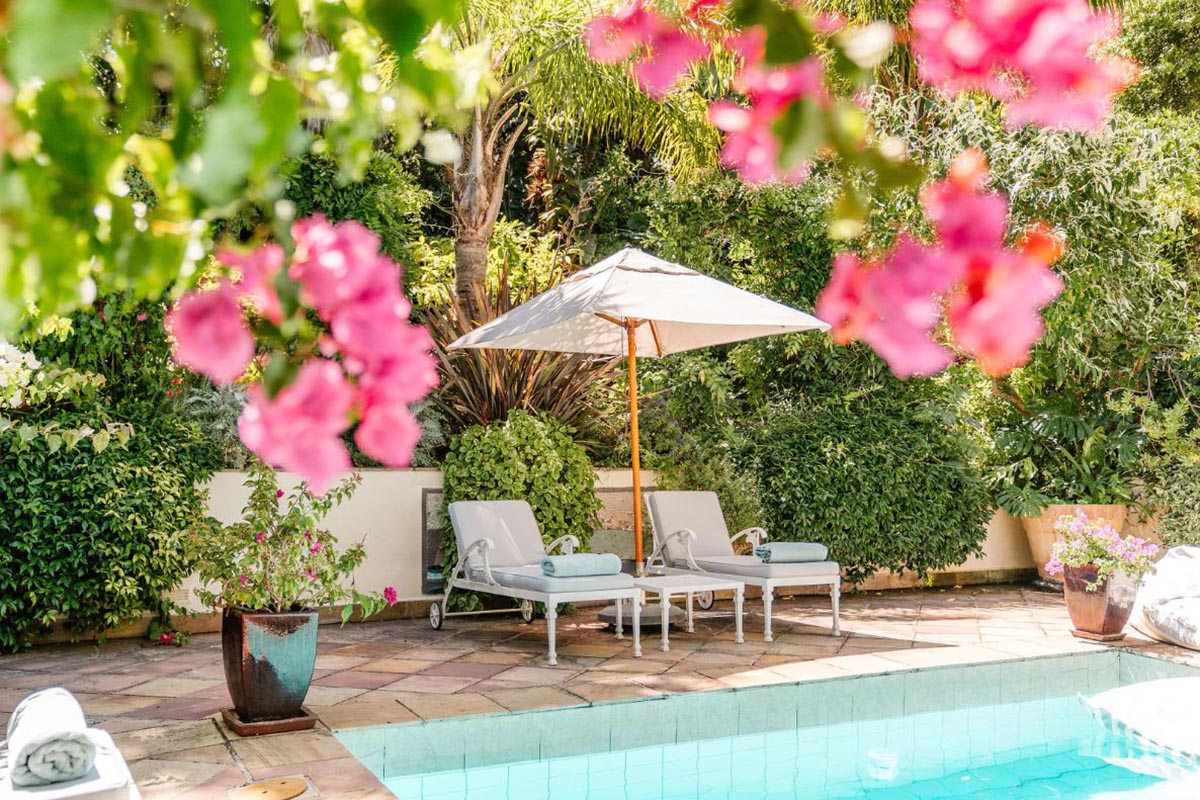 Last Word Constantia