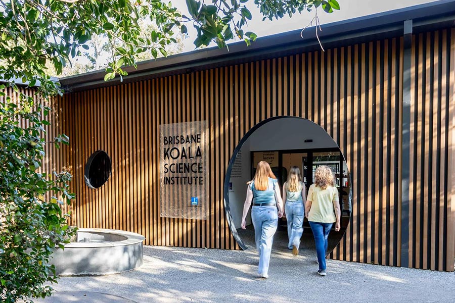 Brisbane River Cruise & Lone Pine Koala Sanctuary