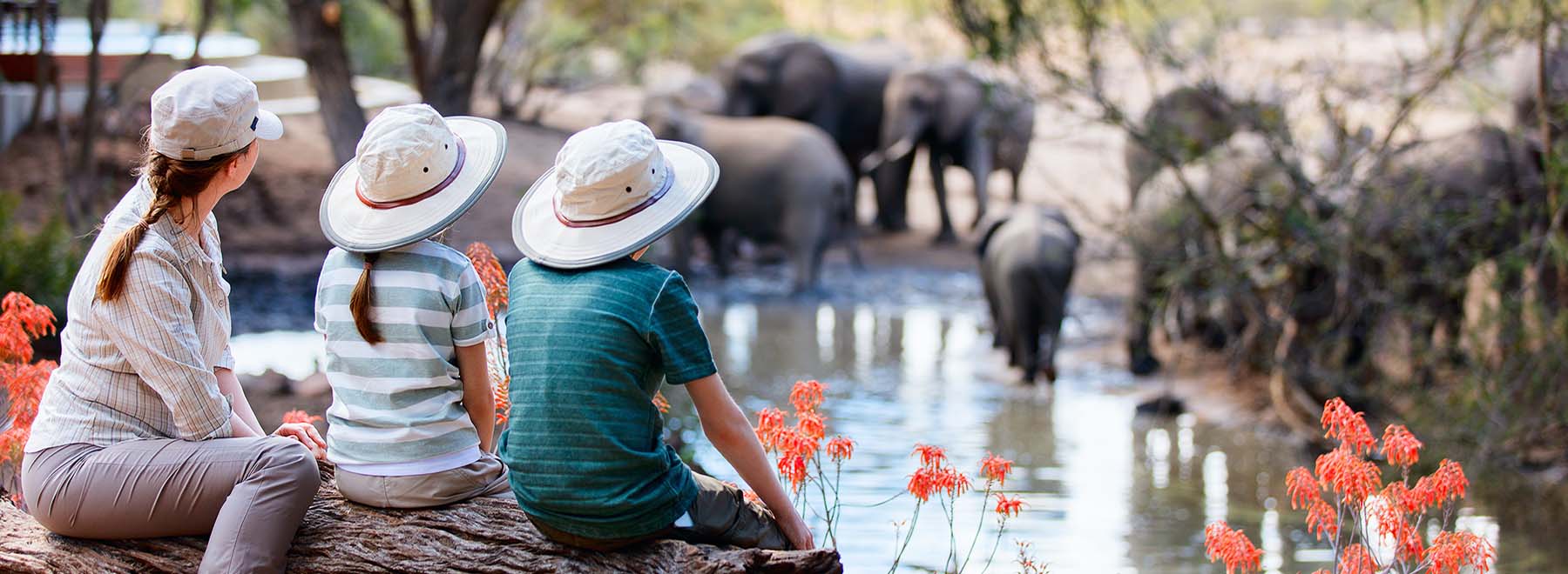 Bush & Beach: South Africa & Mauritius Family Adventure