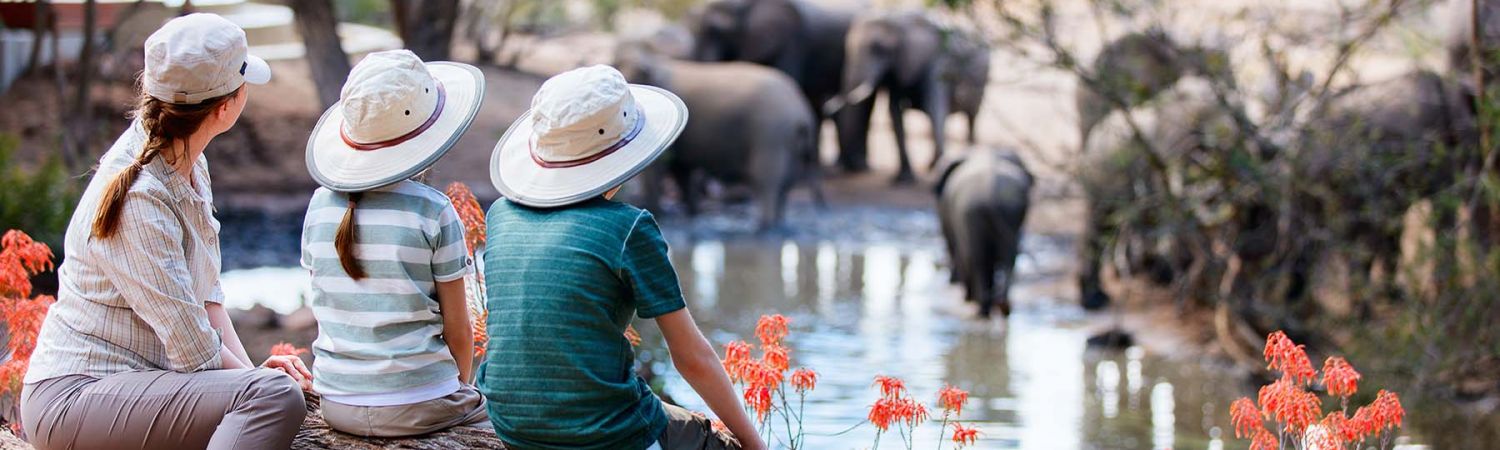 Bush & Beach: South Africa & Mauritius Family Adventure