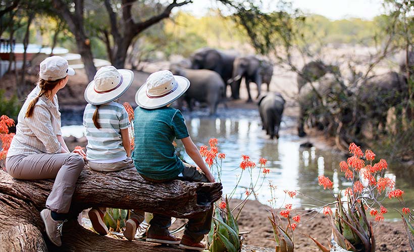Bush & Beach: South Africa & Mauritius Family Adventure