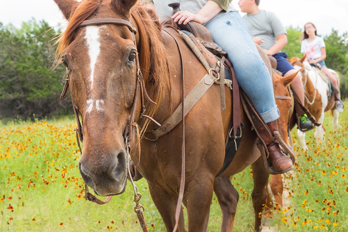 Mayan Dude Ranch