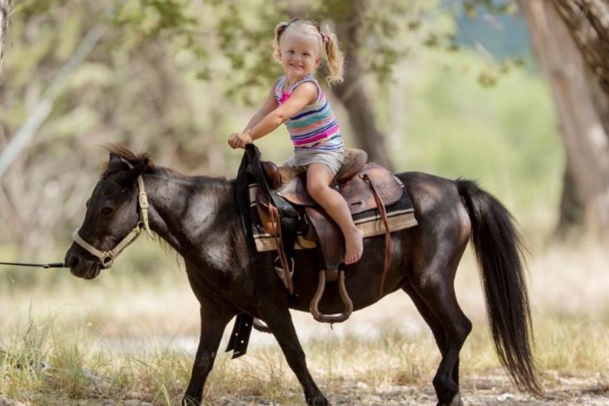 Mayan Dude Ranch