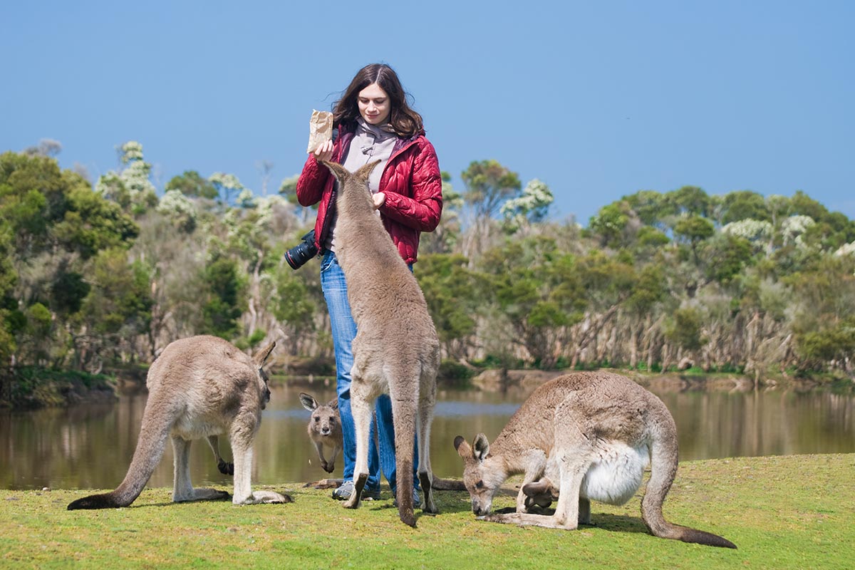 Phillip Island, Australia