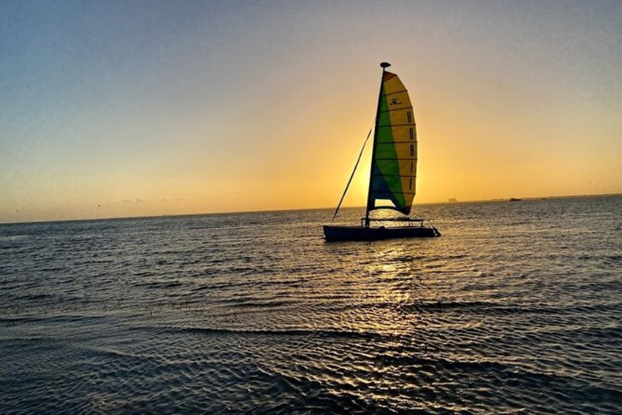 Miami Cruise