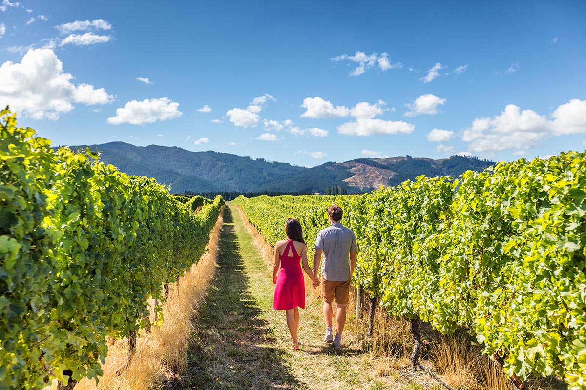 Napa Valley, California