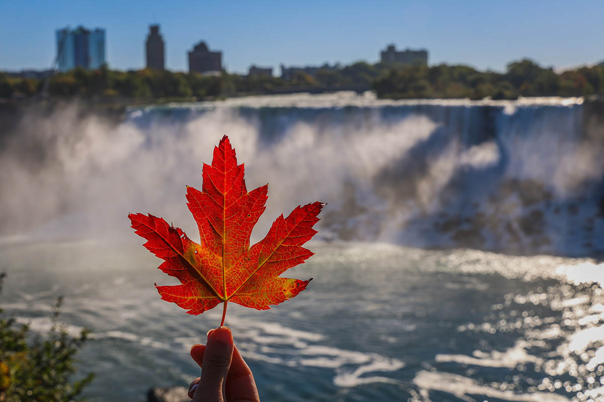 Full Day Niagara Falls Tour