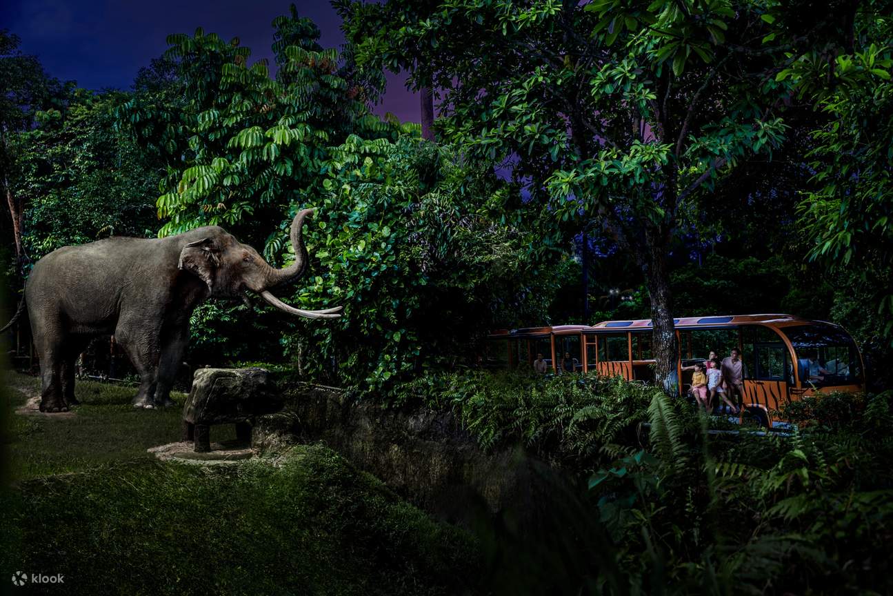 Singapore Night Safari