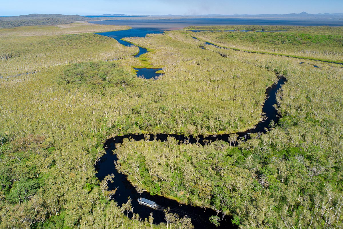 Noosa Everglades Cruise