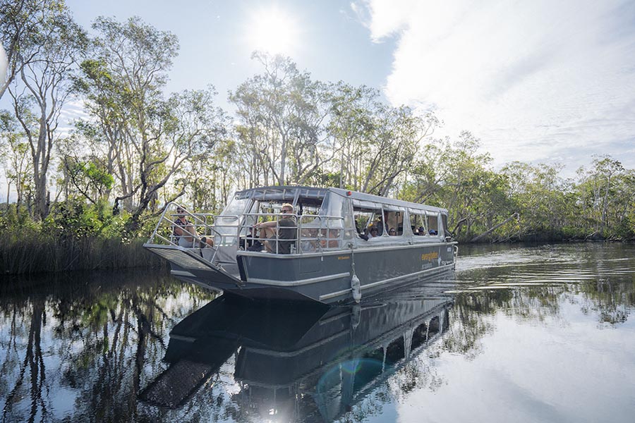 Noosa Everglades Cruise