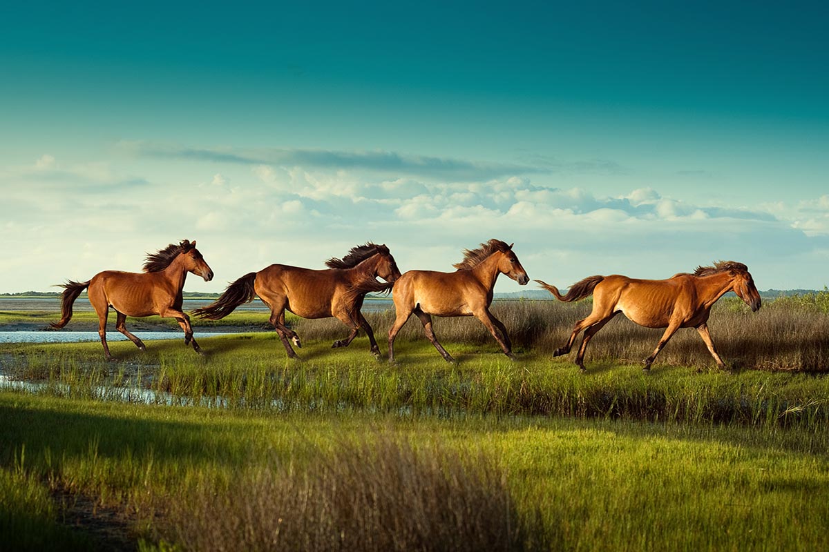 Outer Banks