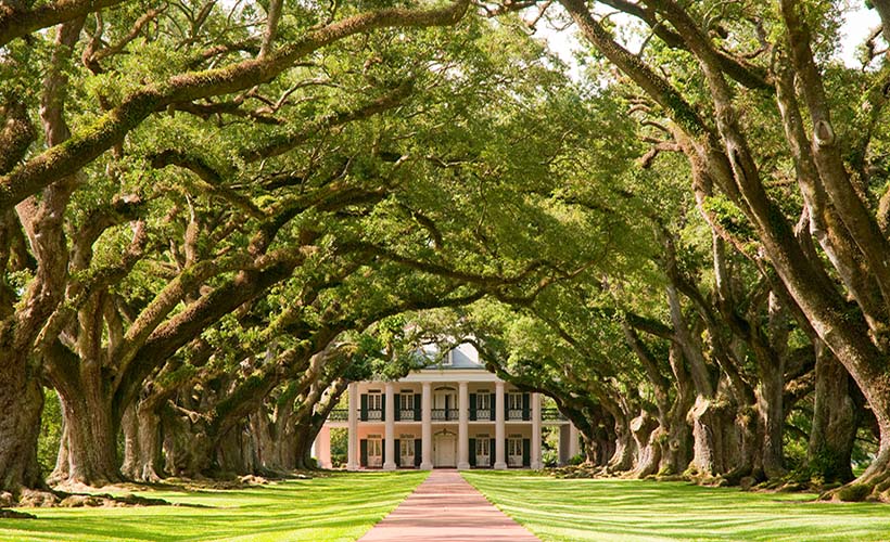 Oak Alley Plantation Tour