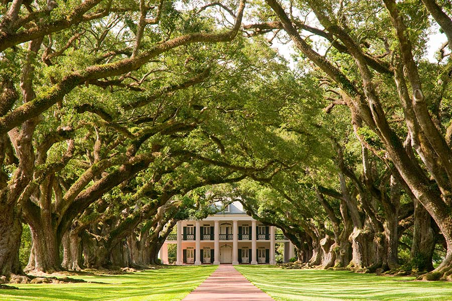 Oak Alley Plantation Tour
