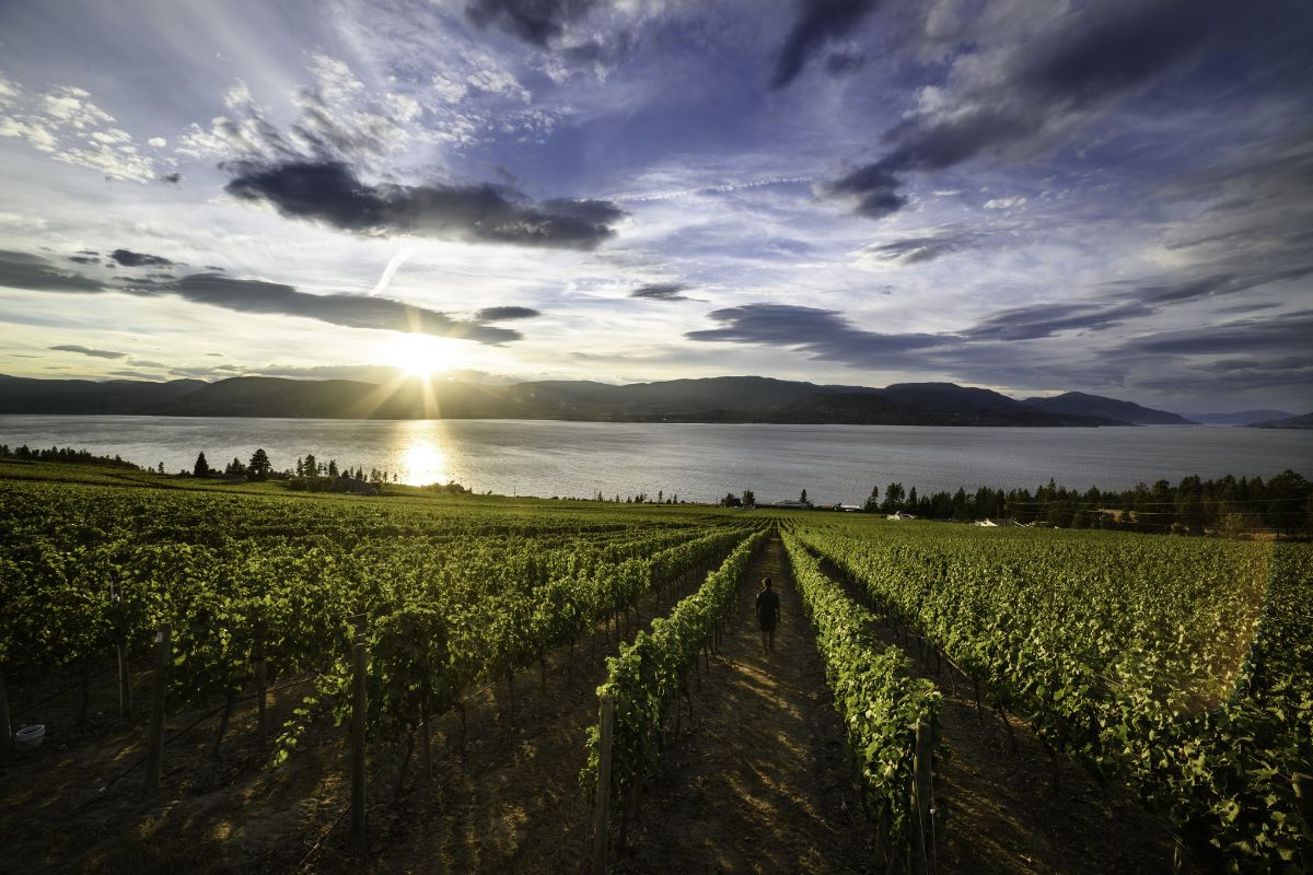 Okanagan Valley