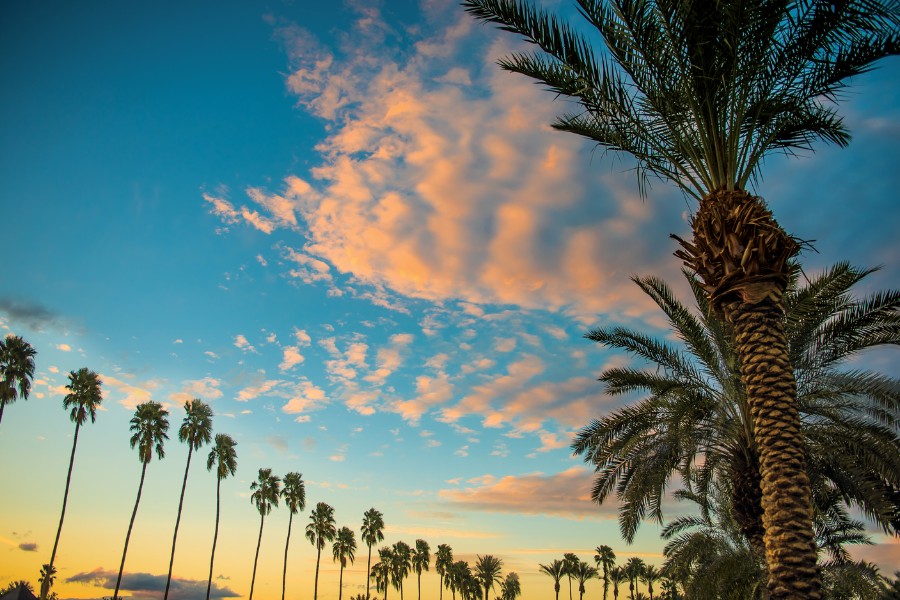 Palm Springs