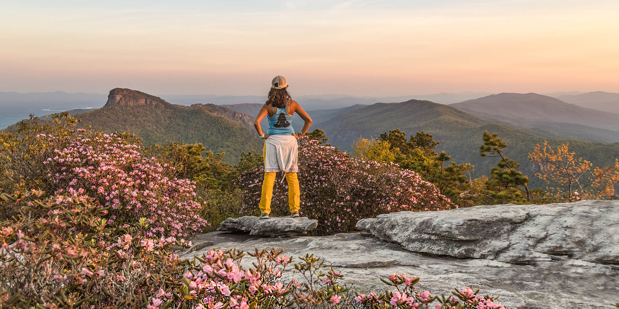 Carolina Dreaming: A Tapestry of Nature, Culture and Cuisine in the South