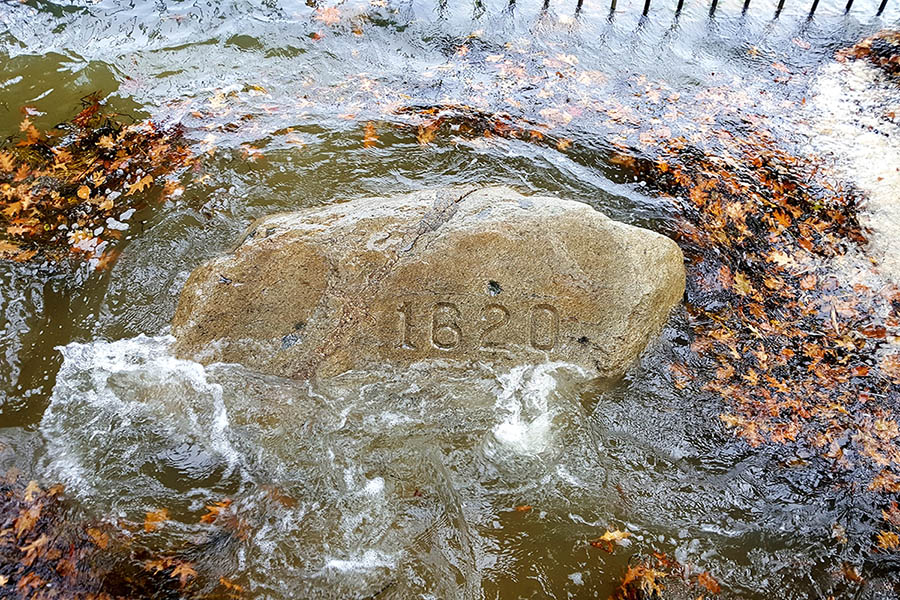 Plymouth Rock