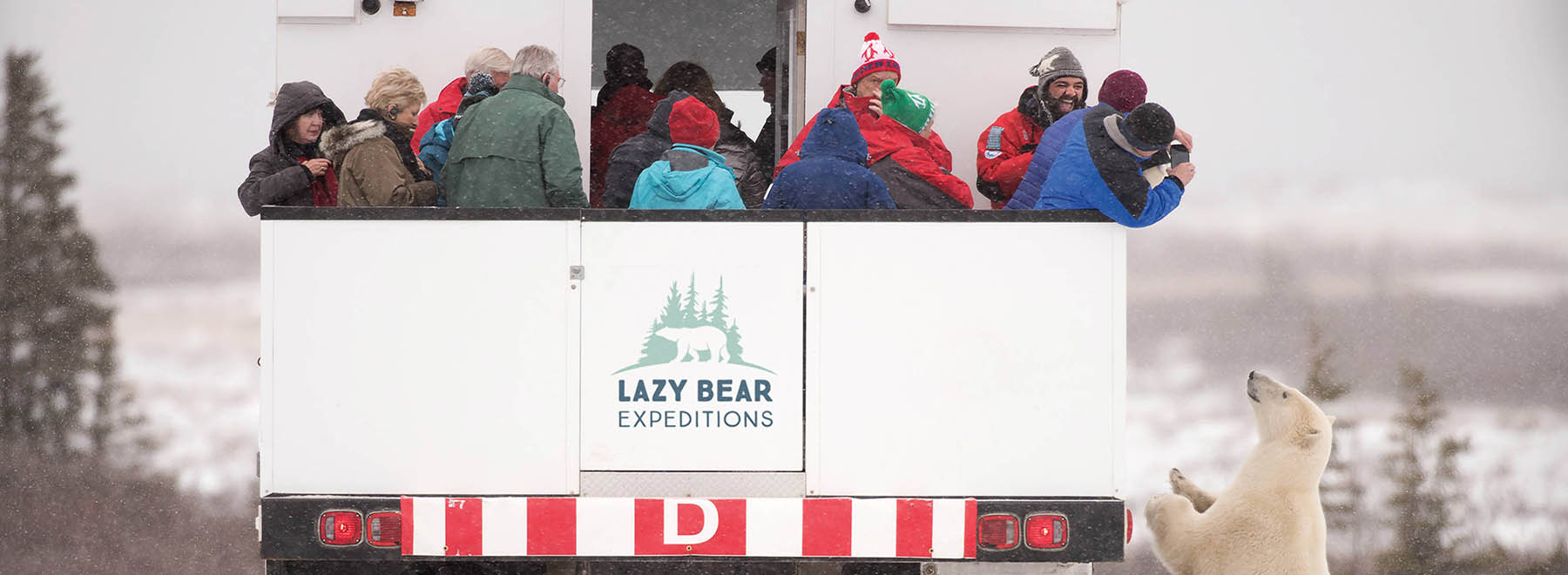 Niagara Thunder & Wild Arctic Wonders